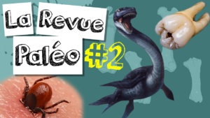 revue 2